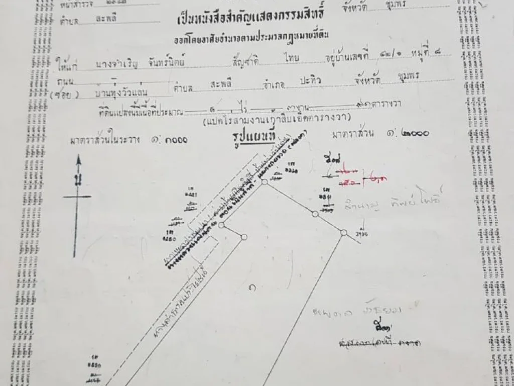 ขายที่ดินตสะพลี จชุมพร