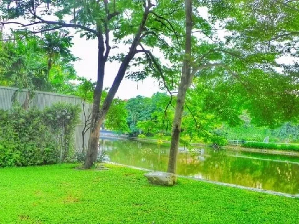 ให้เช่าบ้านเดี่ยว 2 ชั้น โครงการ Lake Side Villa 1ราคาเช่า 250000 บาทเดือน