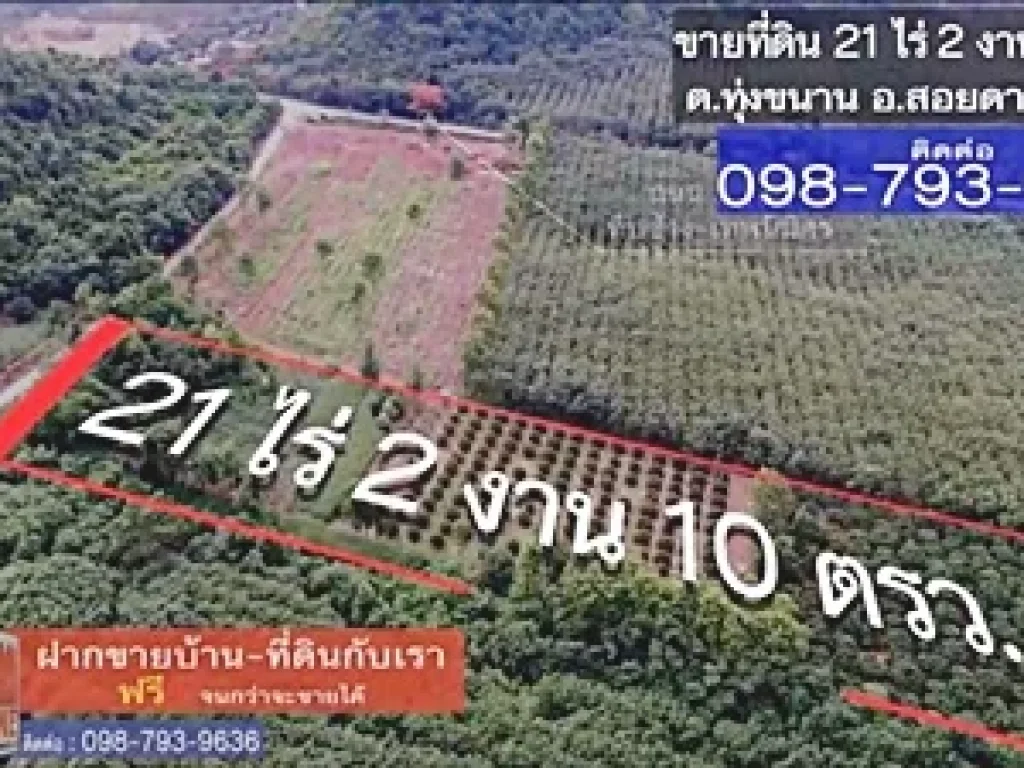 ที่ดินสวนลำใย บนเนินเขาสอยดาว ทุ่งขนาน สอยดาว จันบุรี 21 ไร่ 2 งาน 10 ตรว