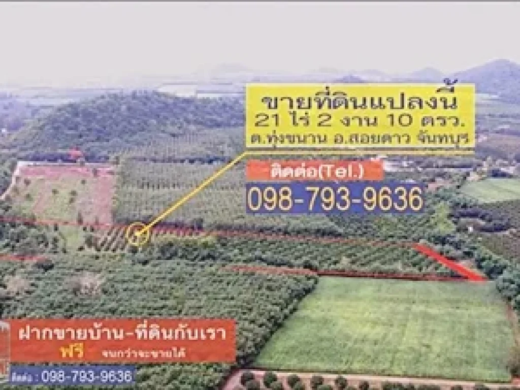 ที่ดินสวนลำใย บนเนินเขาสอยดาว ทุ่งขนาน สอยดาว จันบุรี 21 ไร่ 2 งาน 10 ตรว