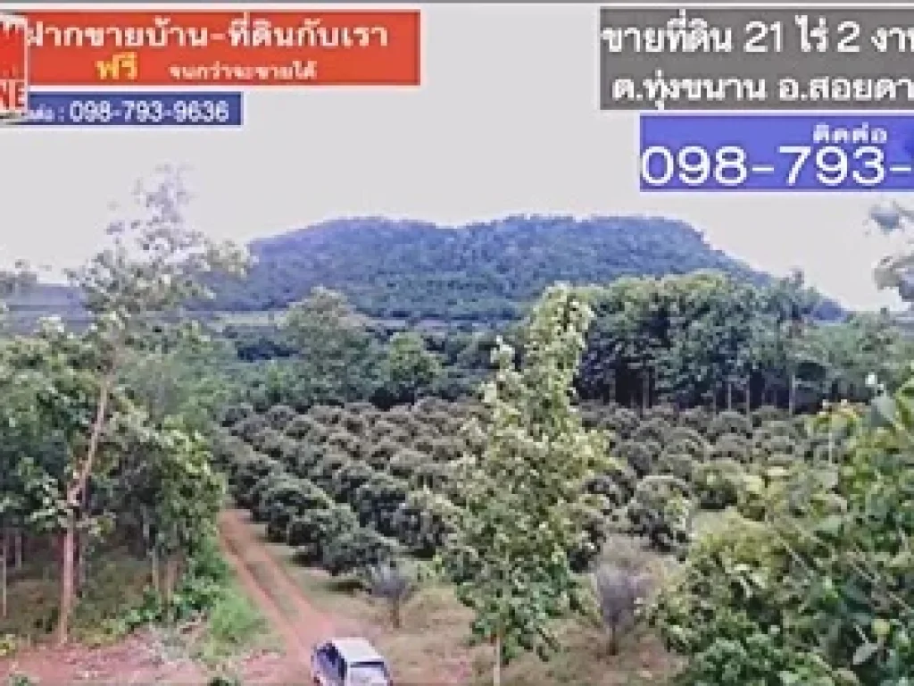 ที่ดินสวนลำใย บนเนินเขาสอยดาว ทุ่งขนาน สอยดาว จันบุรี 21 ไร่ 2 งาน 10 ตรว