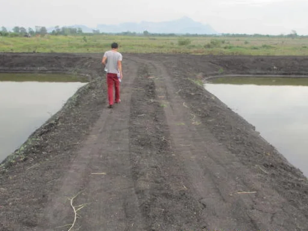 ขายที่ดินจำนวน 150 ไร่ติดคลองชลประทานชัยนาท-ป่าสัก