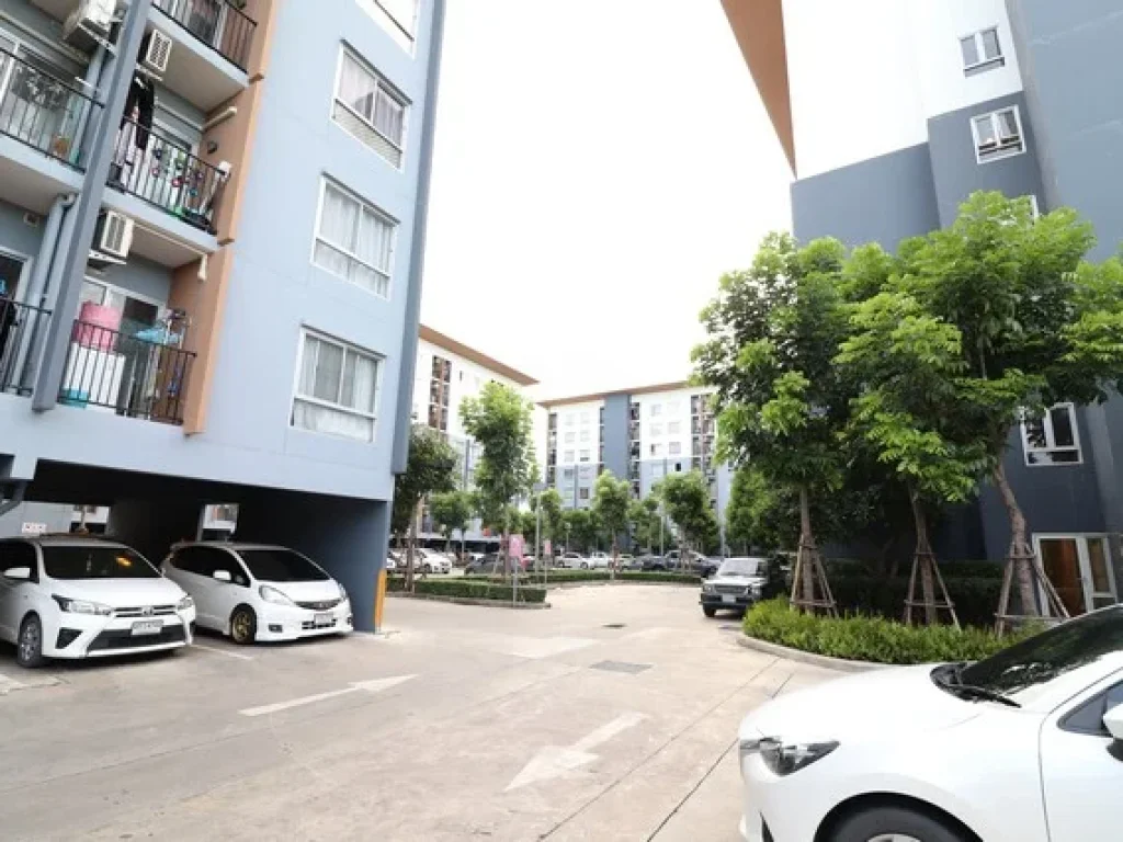 ให้เช่า Plum Condo Bangyai Station พลัม คอนโด บางใหญ่ สเตชั่น เยื้องเซ็นทรัลเวสเกต