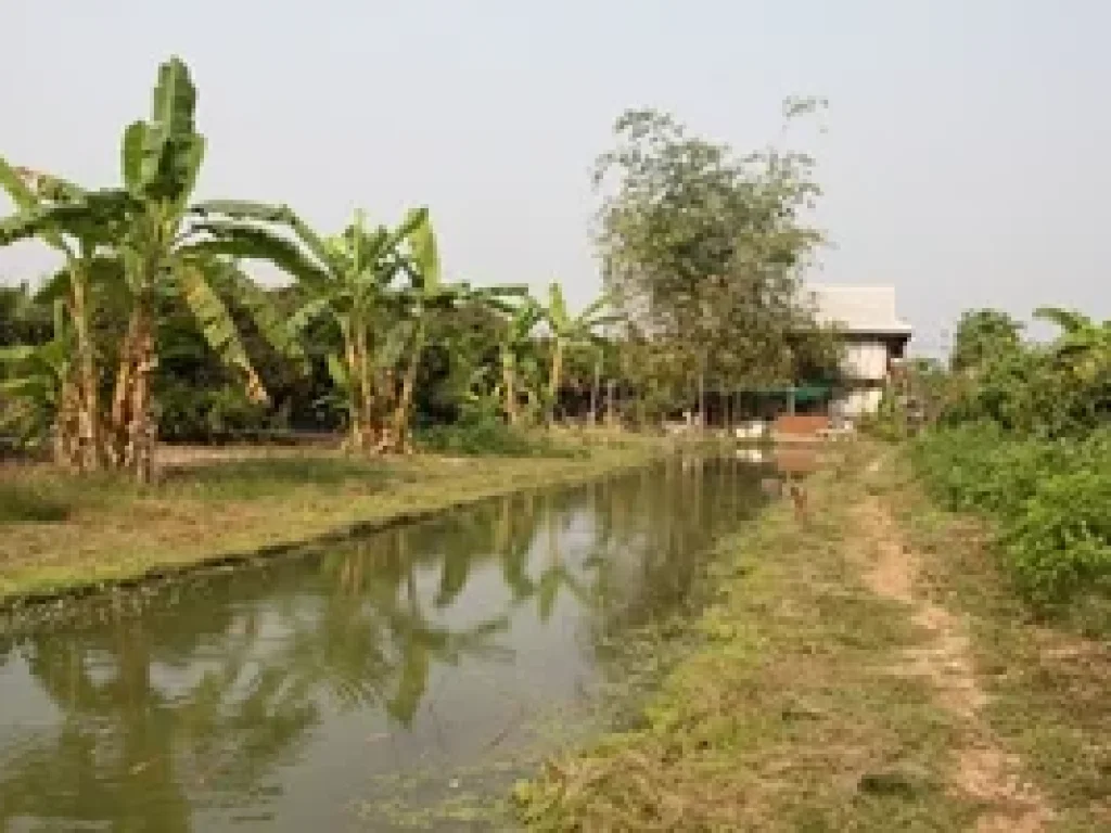 ที่ดินบ้านสวนลำพูน บรรยากาศดี น้ำตลอดปี ไฟฟ้าพร้อม