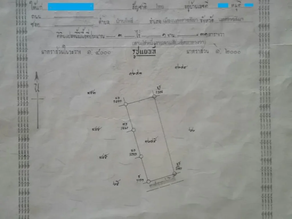 ที่ดินว่างเปล่าเหมาะแก่การเกษตรกรรมและสร้างที่พักอาศัย