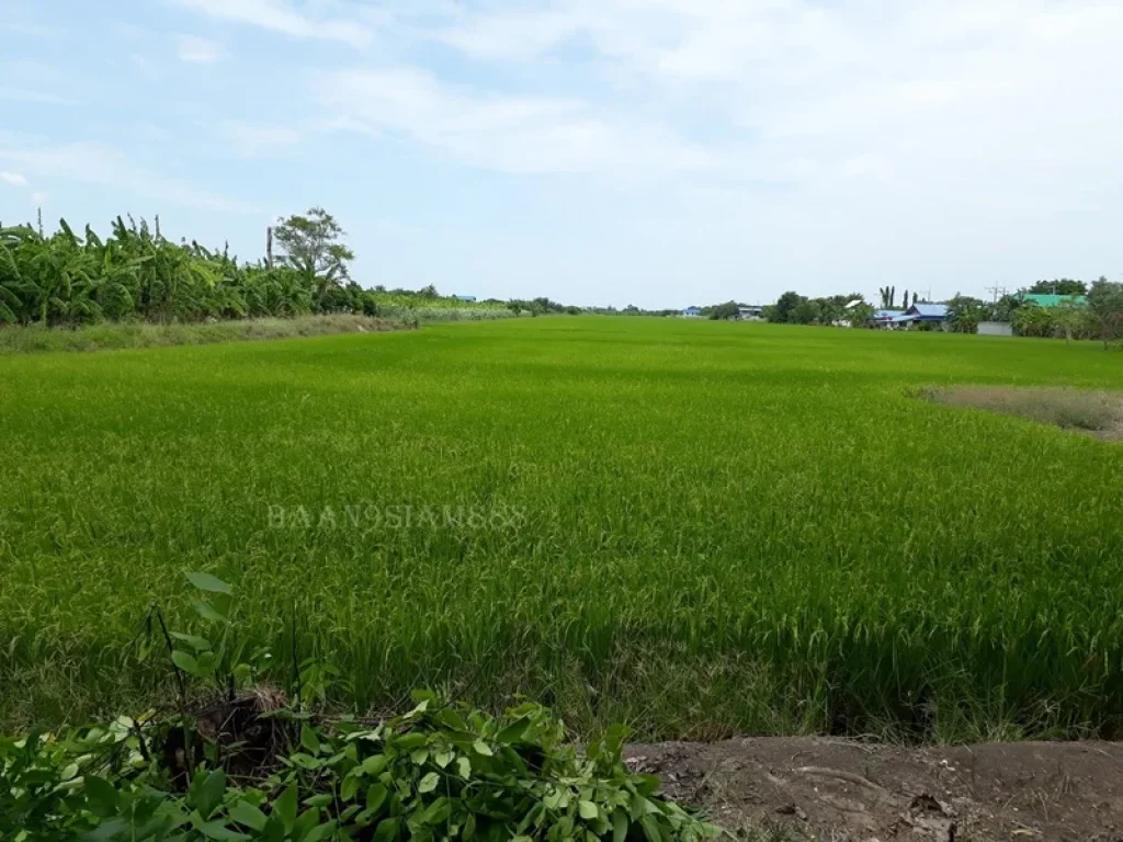 ที่ดิน 35-2-0ไร่ ไทรน้อย นนทบุรี