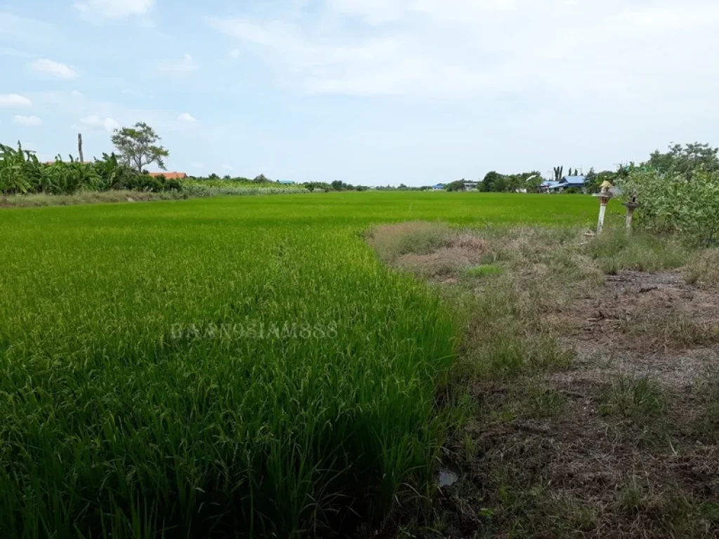 ที่ดิน 35-2-0ไร่ ไทรน้อย นนทบุรี