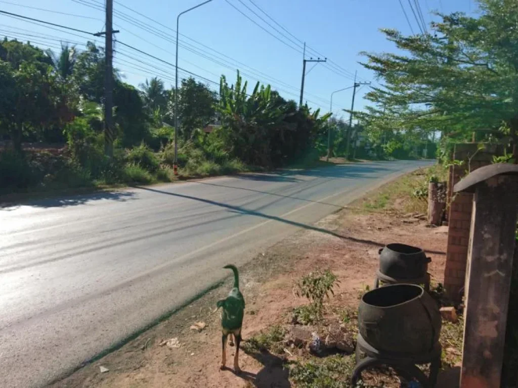 ขายบ้านติดถนนทางหลวงแผ่นดิน อกุมภวาปี จอุดรธานี ห่างจากโลตัส 5 กม