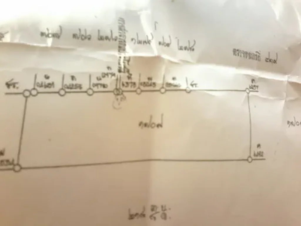 ขายที่ดิน 5ไร่ บ้านเต็งหนาม ถนนประสานมิตร ตหัวรอ อ เมือง จพิษณุโลก