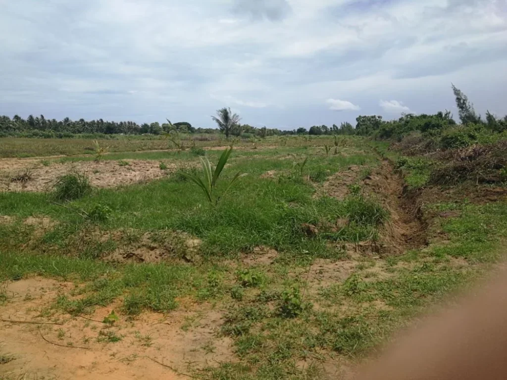 ขายที่ดินแปลงสวย กุยบุรี จังหวัดประจวบคีรีขันธ์