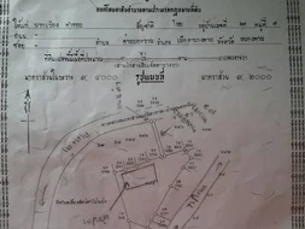 ขายที่ดินสวยๆ ถมแล้ว บ้านคำโป้งเป้ง จหนองคาย เนื้อที่3 ไร่ 37 ตรว