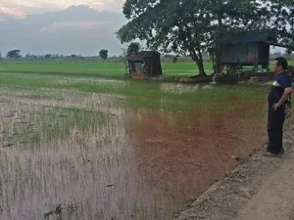 ที่ดินเปล่า ตำบลป่ามะคาบ อำเภอเมืองพิจิตร พิจิตร 32ไร่3งาน23ตรว