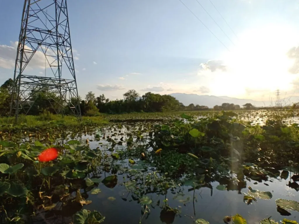 ที่ดินเปล่าขนาดใหญ่ ที่เชียงใหม่ ประมาณ 260 ไร่ หลายแปลงรวมกัน เห็นดอยสุเทพชัดเจน