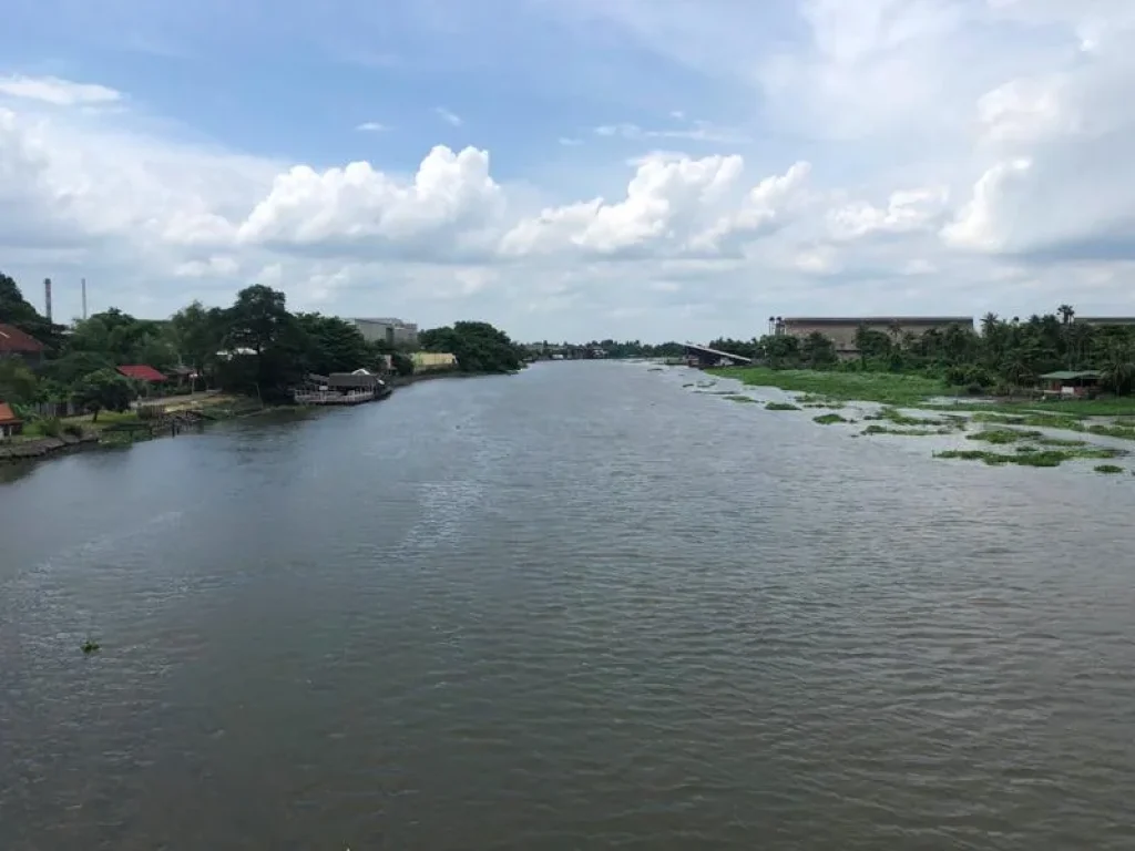 ขายที่ดินสวย ริมแม่น้ำท่าจีน สามพราน นครปฐม ราคาถูก เหมาะทำร้านอาหารริมน้ำ