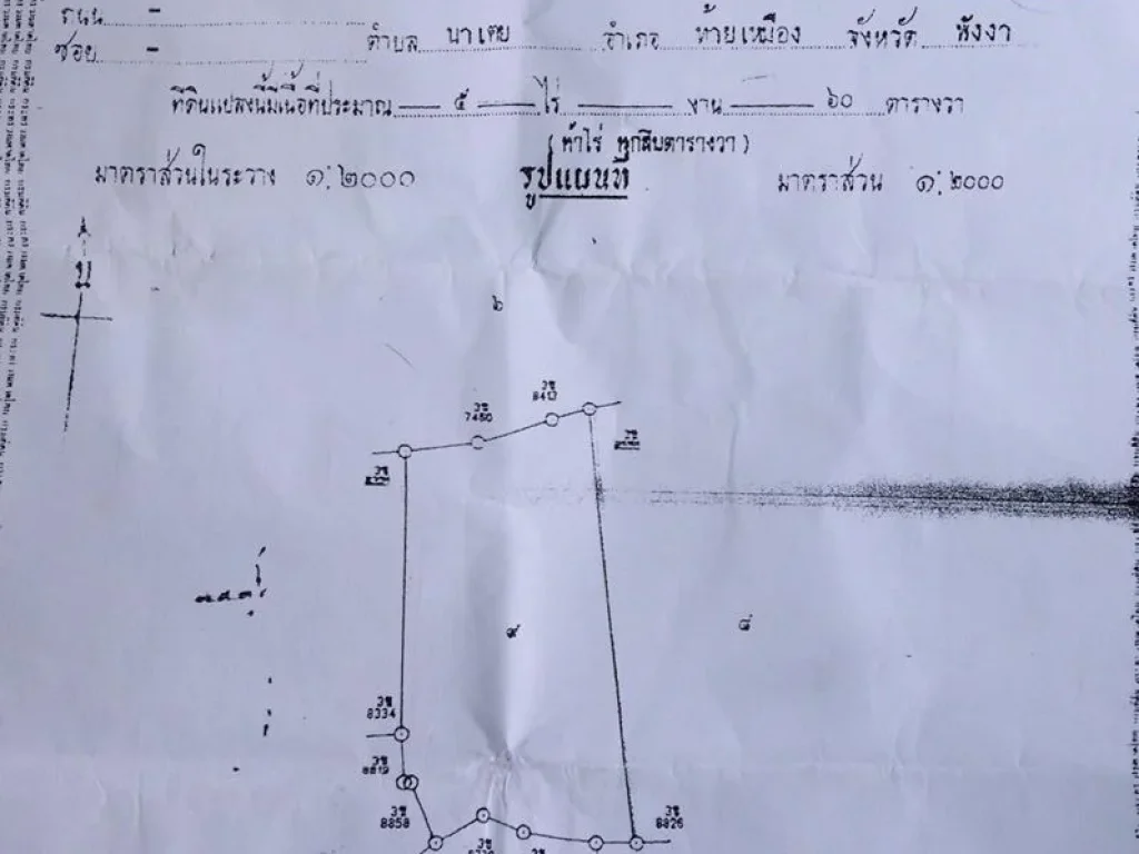 แปลงที่10 ขายที่ดินมีโฉนด แถวนาเตย ท้ายเหมืองพังงา สภาพที่ดิน เป็นที่ราบ ปลูกยางพาราทั้งแปลง พร้อมเปิดหน้ายาง มีทางเข้าออก