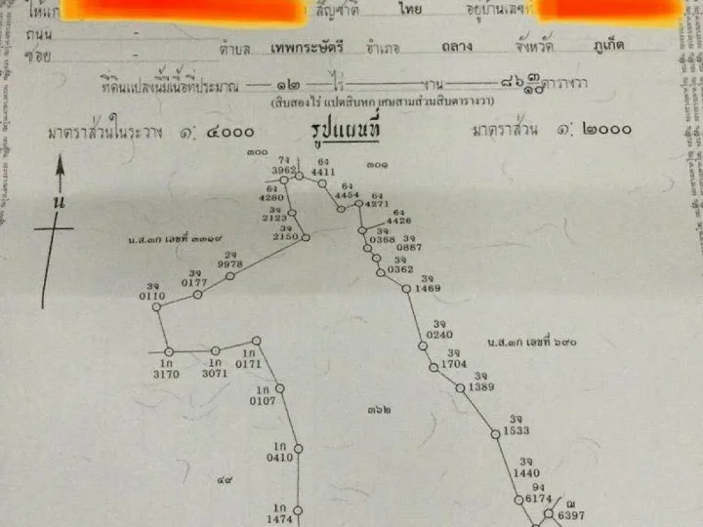 แปลงที่4 ขายที่ดินทั้งแปลงแถวลายันซอย1 ตเชิงทะเล อถลาง ภูเก็ต สภาพที่ดิน เป็นสวนยางพารา ที่เป็นเนินเขา เห็นวิวทะเล