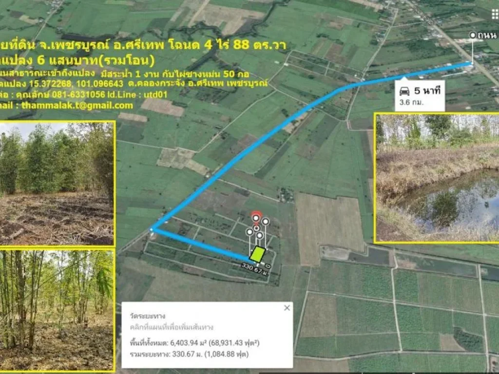 ขายที่ดิน จเพชรบูรณ์ อศรีเทพ โฉนด 4 ไร่ 88 ตรวา ยกแปลง 6 แสนบาทรวมโอน