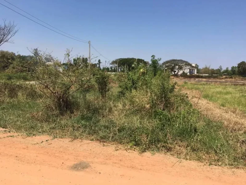 ขายที่ดิน 10ไร่ บ้านหนองแสง ตพระลับ อเมืองขอนแก่น