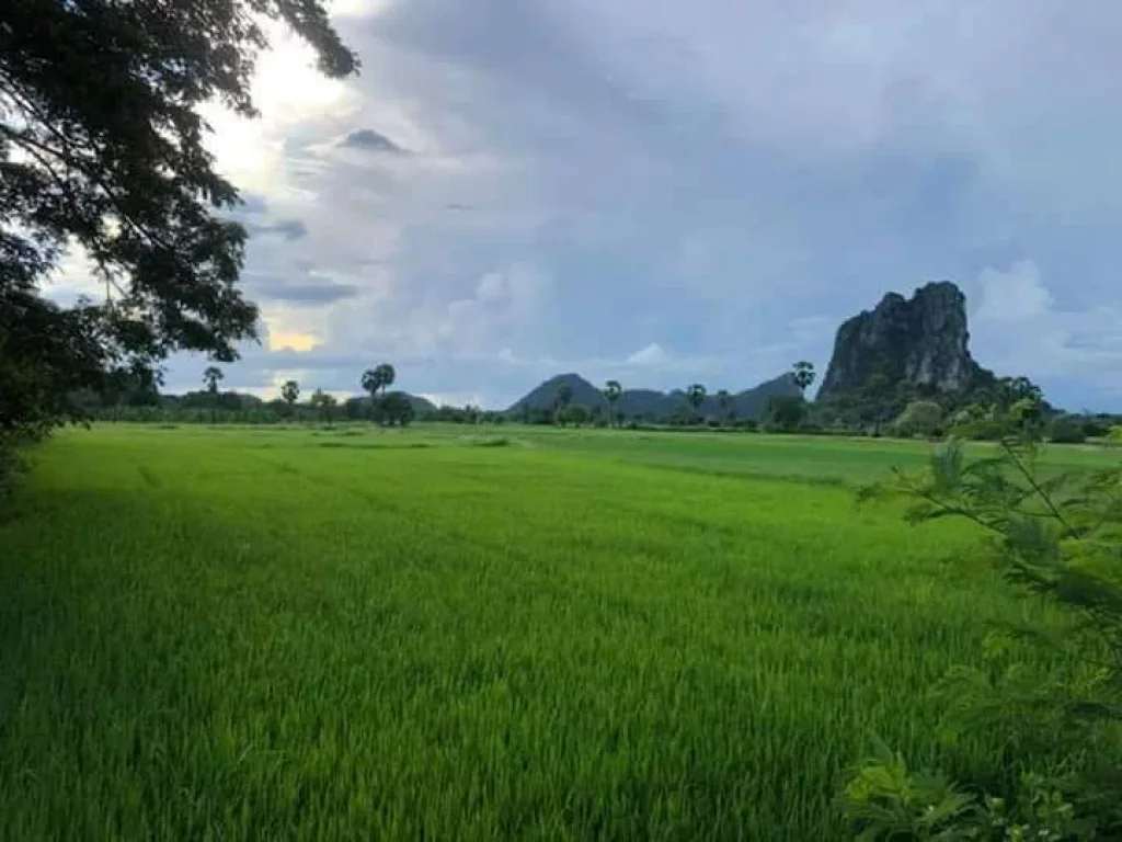 ที่ดินวิวเขาและติดถนนลาดยางชะอำ