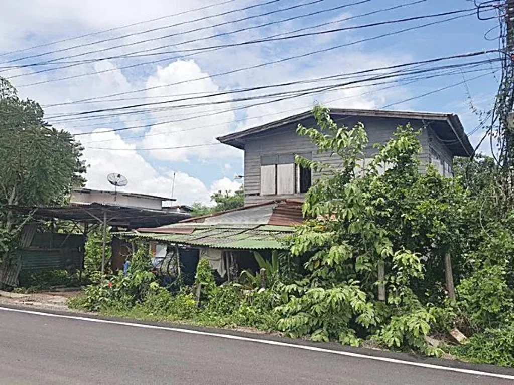 ขาย ที่ดินเปล่า หมู่บ้าน อุดมพัฒนา ซอย วิเศษมงคล