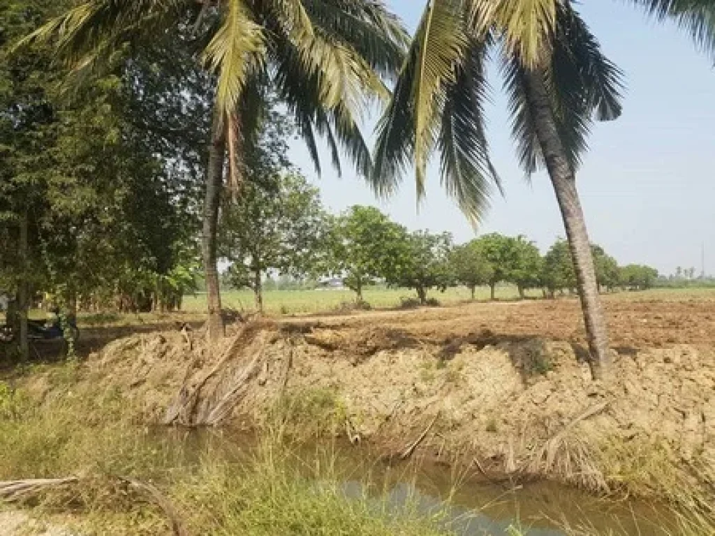 ขายที่ดินสวยมาก 44 ไร่ ตำบลกรับใหญ่ อำเภอบ้านโป่ง จังหวัดราชบุรี