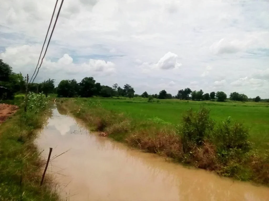 ที่ทำการเกษตร มีน้ำใช้ตลอดปี