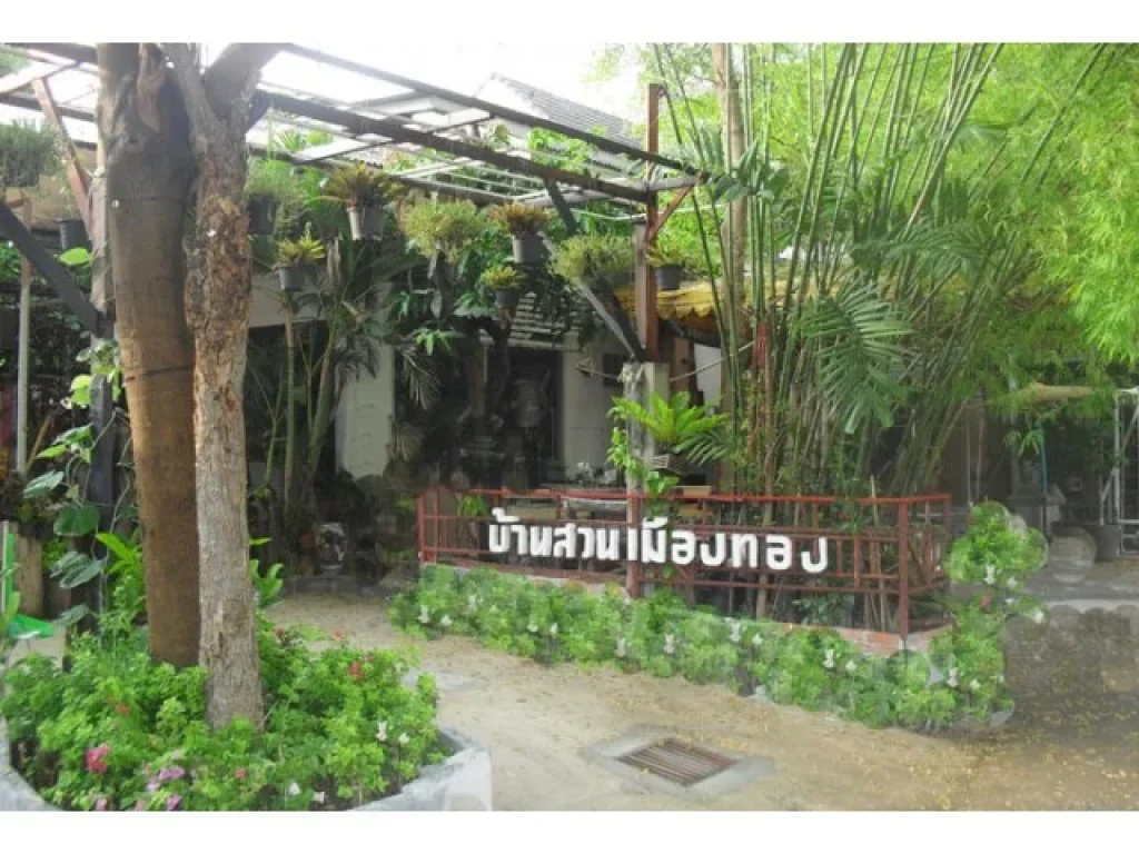 ขายรีสอร์ทกลาง อิมแพค เมืองทองธานี แจ้งวัฒนะ ปากเกร็ด นนทบุรี