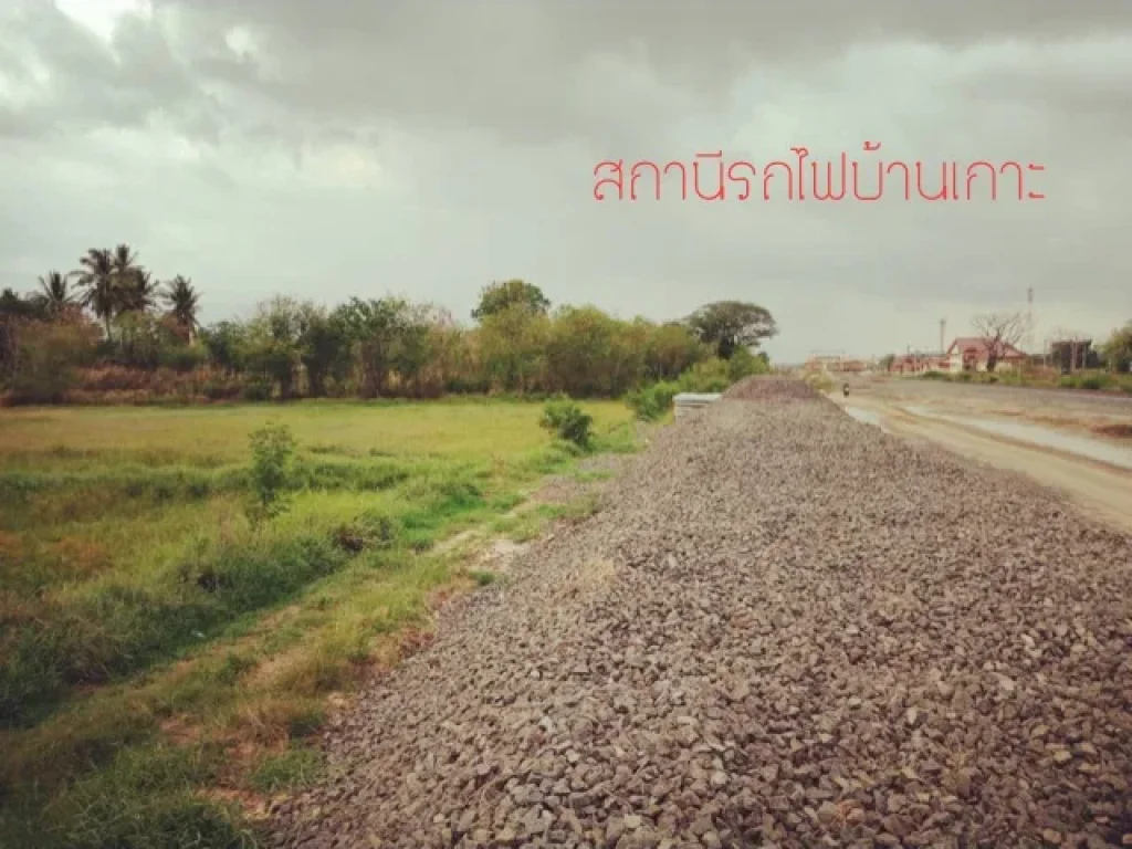 ขายที่ดินแปลงใหญ่เหมาะสร้างโครงการจัดสรรใกล้สถานีไฟฟ้าบ้านเกาะแต่วิวสวยค่ะ