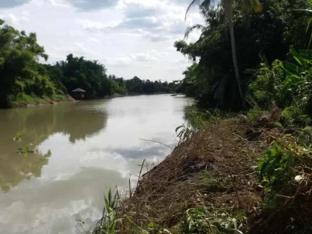 ขายที่ดินริมน้ำด้านหน้าติดถนนใหญ่ ด้านหลังติดแม่น้ำท่าจีนสุพรรณบุรี ด้านข้างติดอบตนางบวช