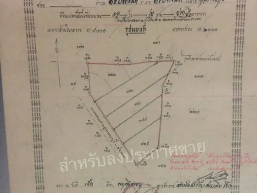 ขายที่ดิน 5ไร่ 3งาน อำเภอศรีประจันต์ จังหวัดสุพรรณบุรี