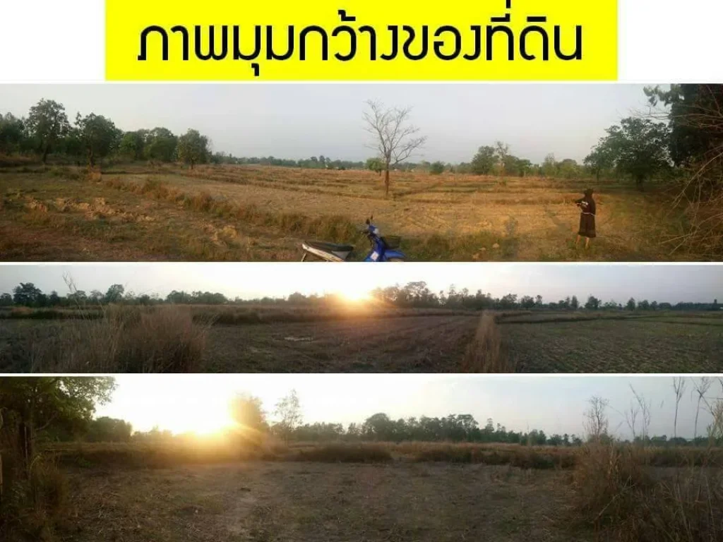 ขายที่ดิน 21ไร่ 2งาน อำเภอเมือง จังหวัดนครพนม