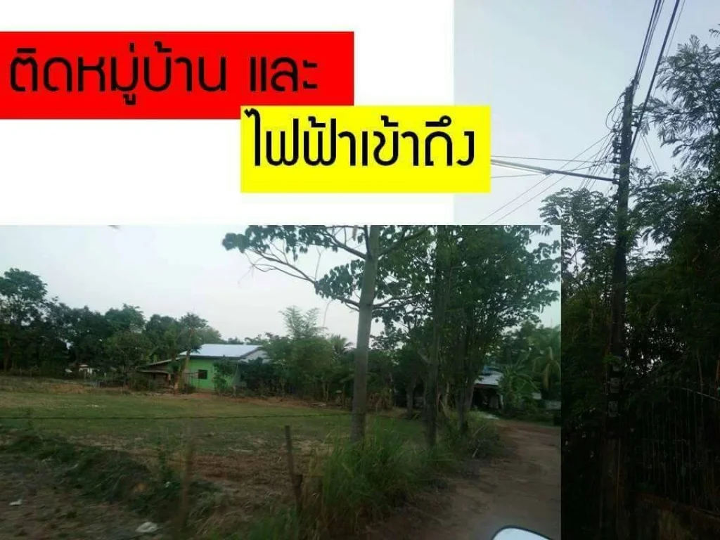 ขายที่ดิน 21ไร่ 2งาน อำเภอเมือง จังหวัดนครพนม