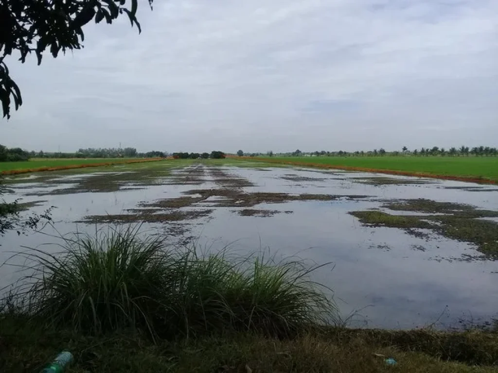 ขาย ที่ดินเปล่า ซอยเทศบาล 5 ตำบลระแหง อำเภอลาดหลุมแก้ว จังหวัดปทุมธานี