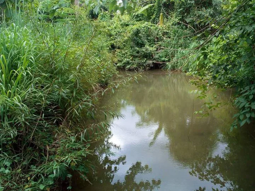 ที่ดินสำหรับอยู่อาศัย อท่าปลา อุตรดิตถ์