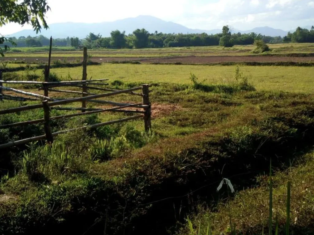 ที่ดินพร้อมสวนสัก โฉนด วิวสวย ราคาถูก อุตรดิตถ์