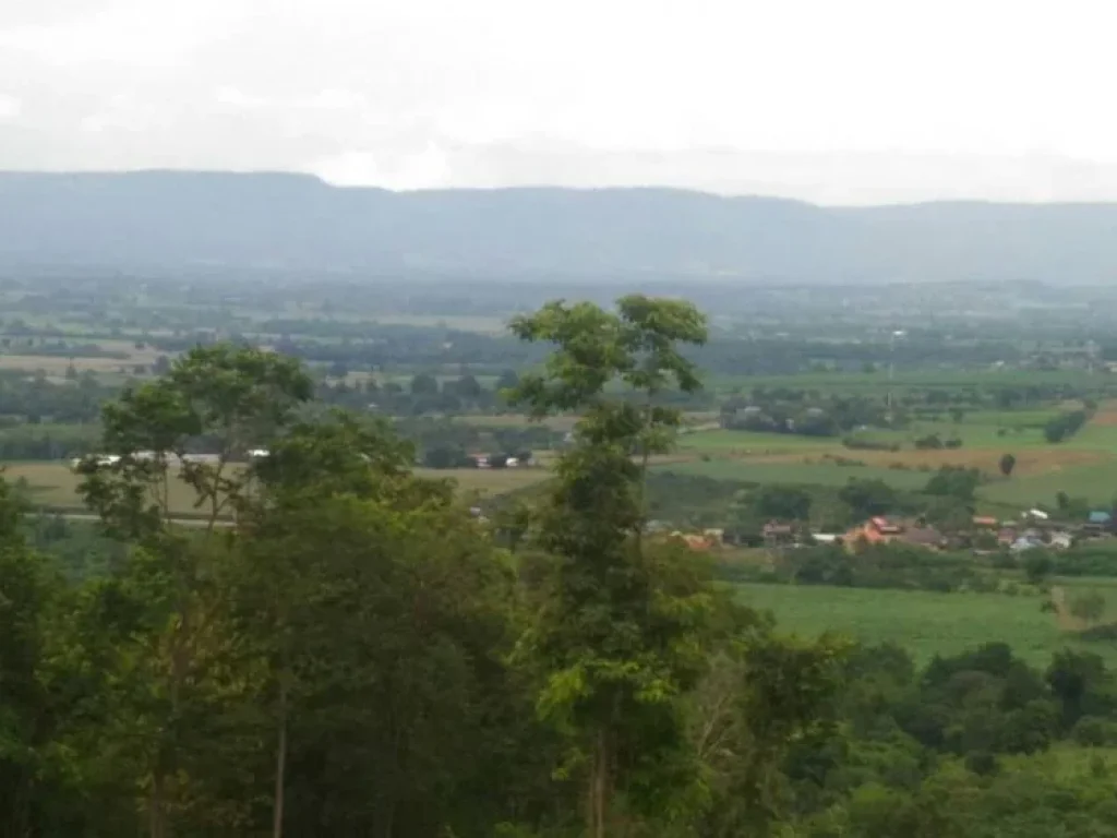 ขายที่ดินบนเนินเขา ใกล้ รร The paz เขาใหญ่ โฉนดทุกแปลง สวย ไม่ต้องบรรยายเยอะ พร้อมสาธารณูประโภค น้ำ ไฟ