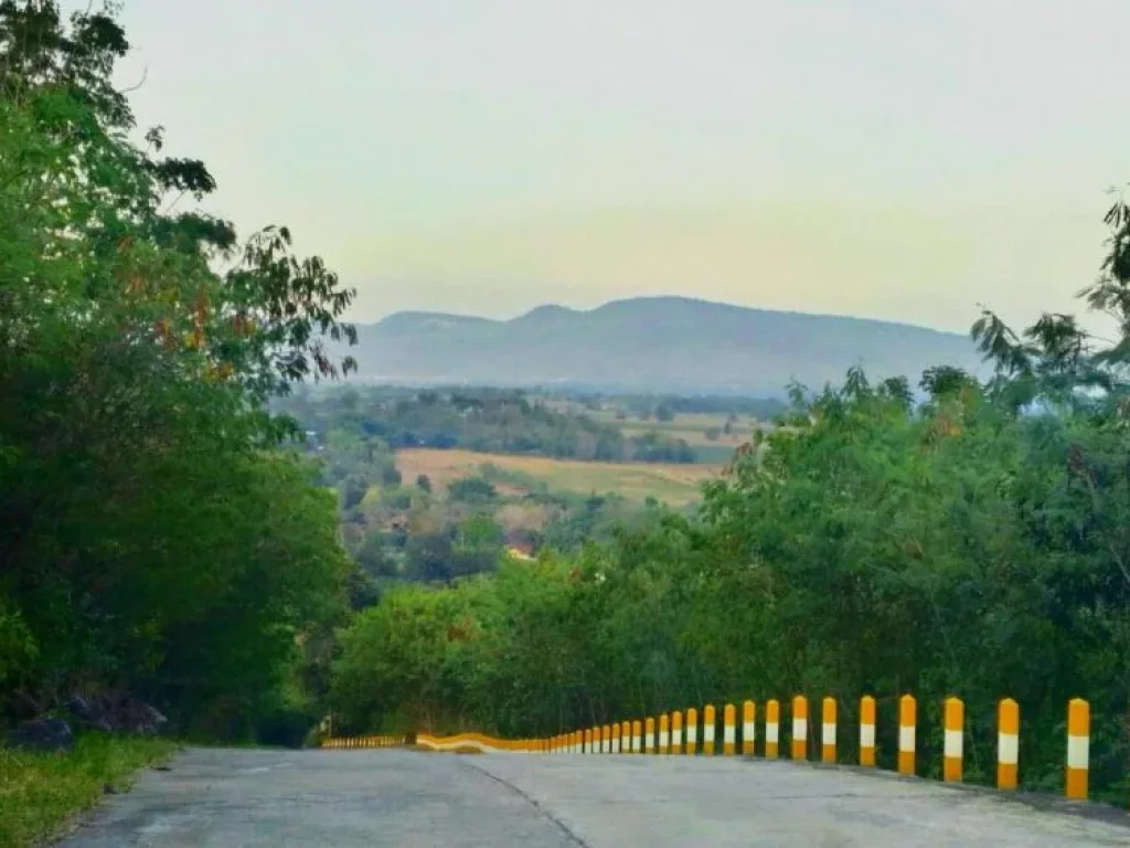 ขายที่ดินบนเนินเขา ใกล้ รร The paz เขาใหญ่ โฉนดทุกแปลง สวย ไม่ต้องบรรยายเยอะ พร้อมสาธารณูประโภค น้ำ ไฟ