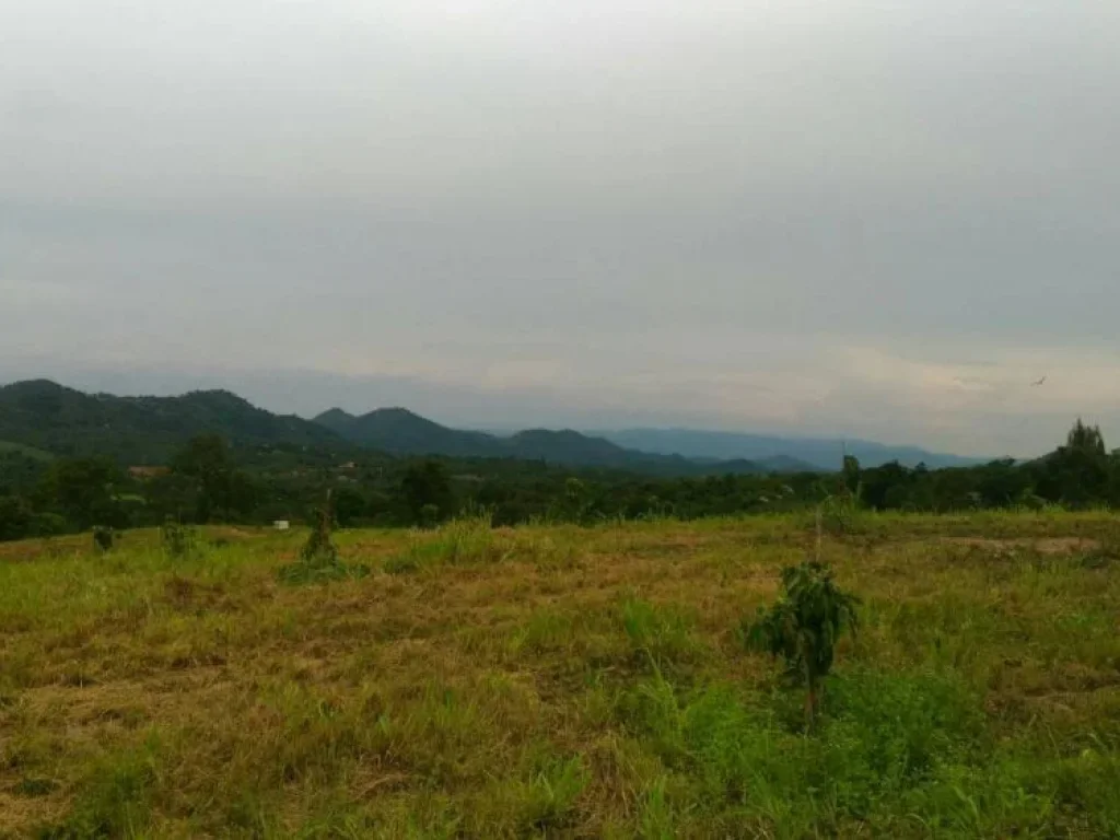 ขายที่ดินบนเนินเขา ใกล้ รร The paz เขาใหญ่ โฉนดทุกแปลง สวย ไม่ต้องบรรยายเยอะ พร้อมสาธารณูประโภค น้ำ ไฟ