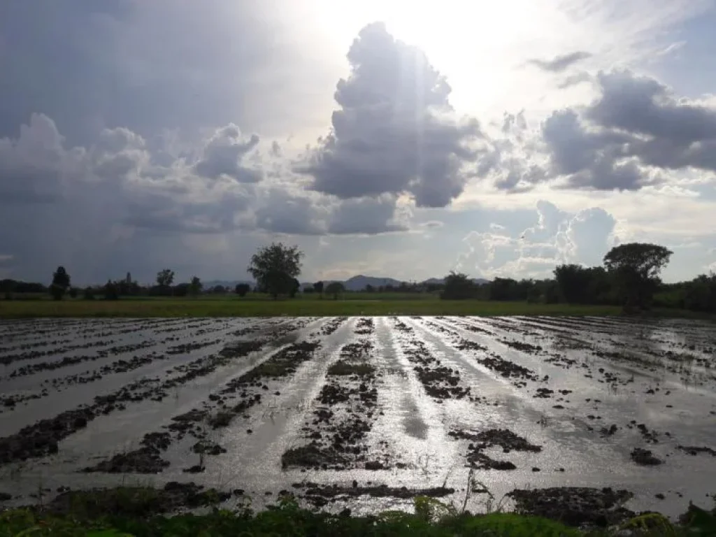 ขาย 17 ไร่ ราคาถูก หน้าติดทางหลวงชนบท 2 ด้านติดคลองชลประทานส่งน้ำ 3ด้าน