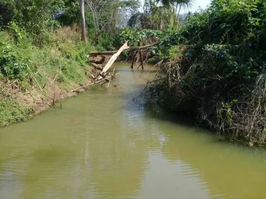 ขายที่ดิน 16 ไร่ อยู่บ้านห้วยฝรั่ง ถนนสาย 205 ตวะตะแบก อเทพสถิต จชัยภูมิ