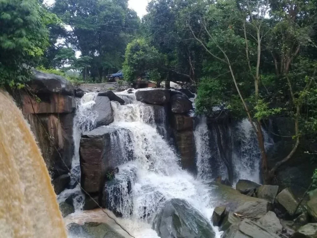 ขายที่ดิน 16 ไร่ อยู่บ้านห้วยฝรั่ง ถนนสาย 205 ตวะตะแบก อเทพสถิต จชัยภูมิ