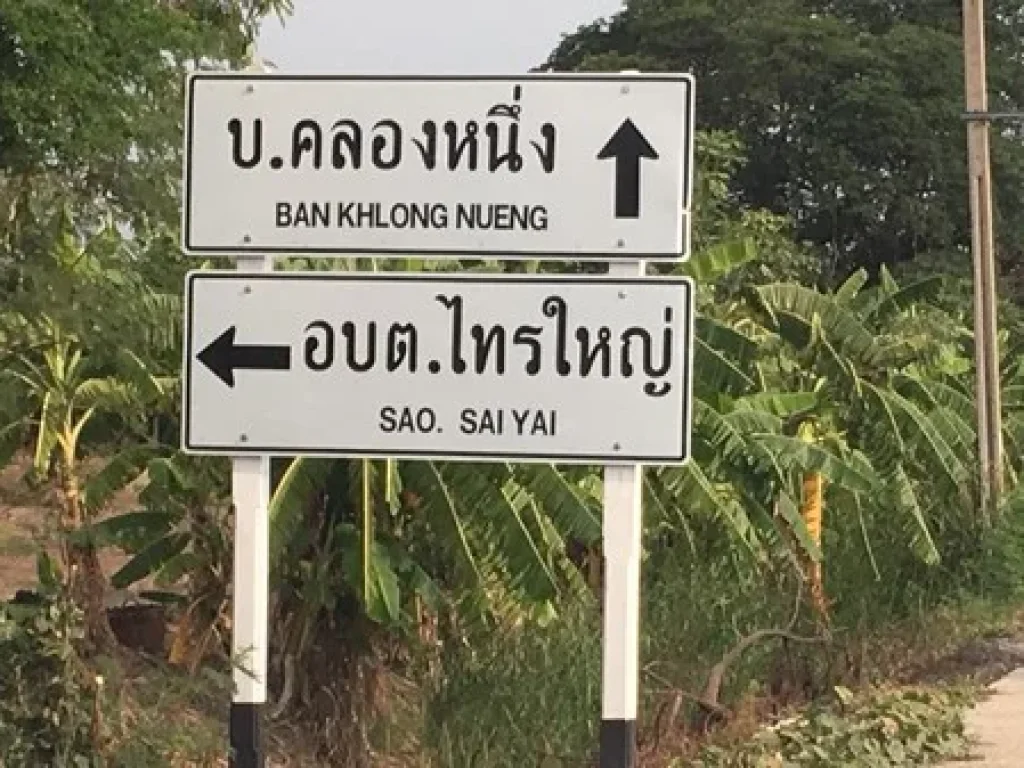 ขายที่ดินสวยติดถนน 90 ตรว มี 4 แปลง ไทรน้อย นนทบุรี