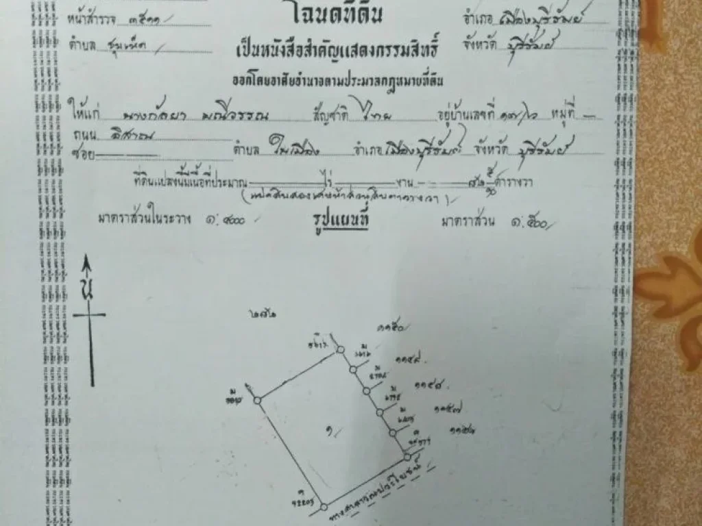 ขายที่ดิน 825 ตารางวา ในหมู่บ้านมานิตย์เมืิองใหม่ ซอย A2 ใกล้สถานที่ราชการ ไปมาสะดวกปลอดภัย