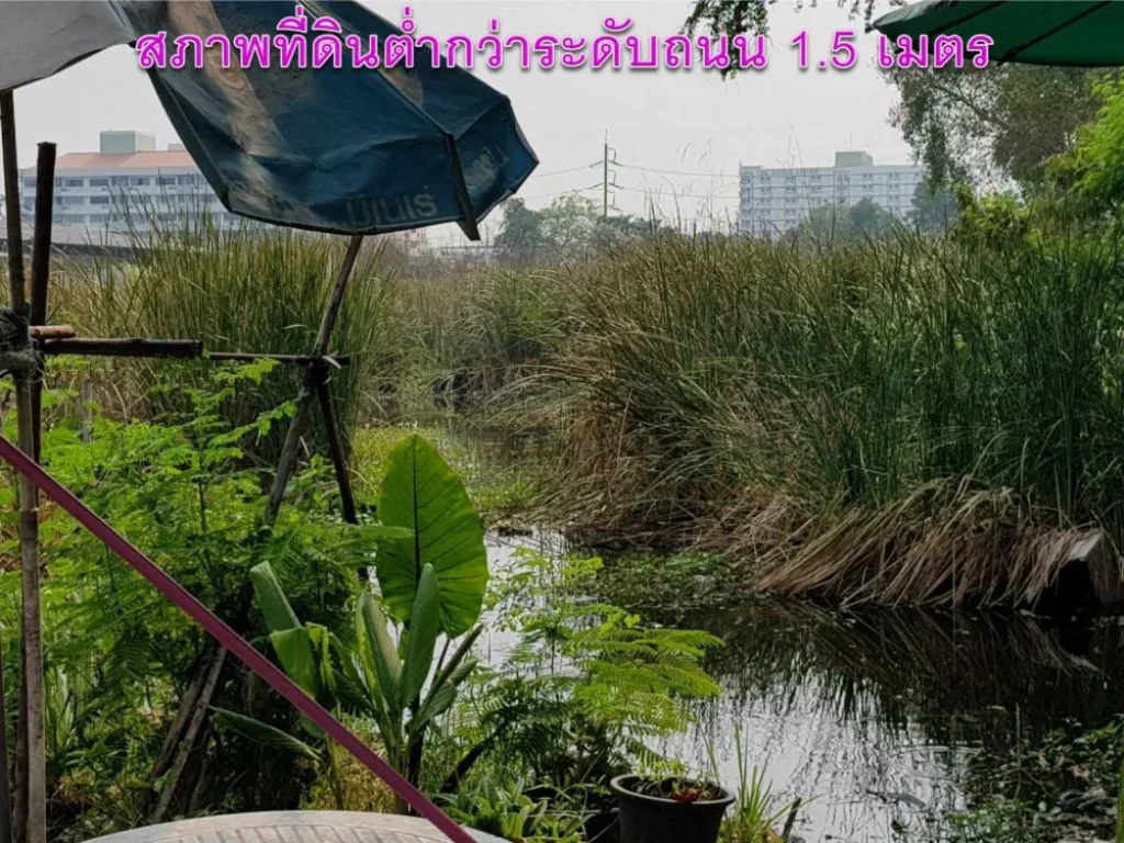 ขายที่ดินศรีด่าน