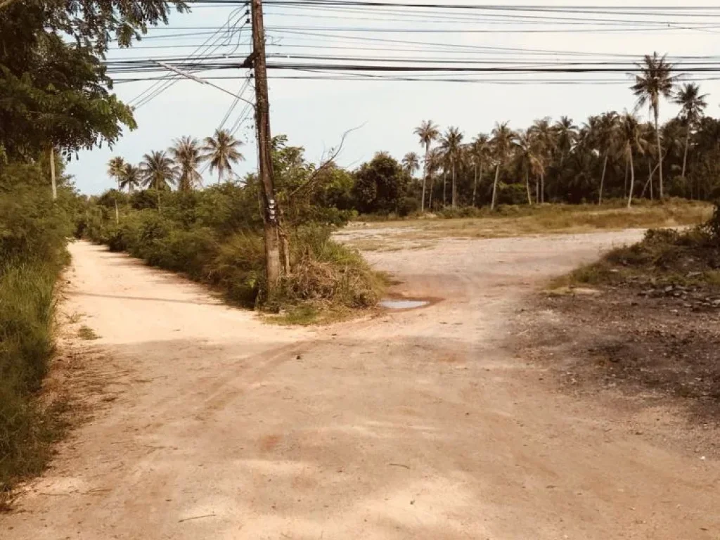 ที่ดินติดถนน เพชรเกษม ใกล้ชายหาดไร่ละไม่ถึงหกแสน