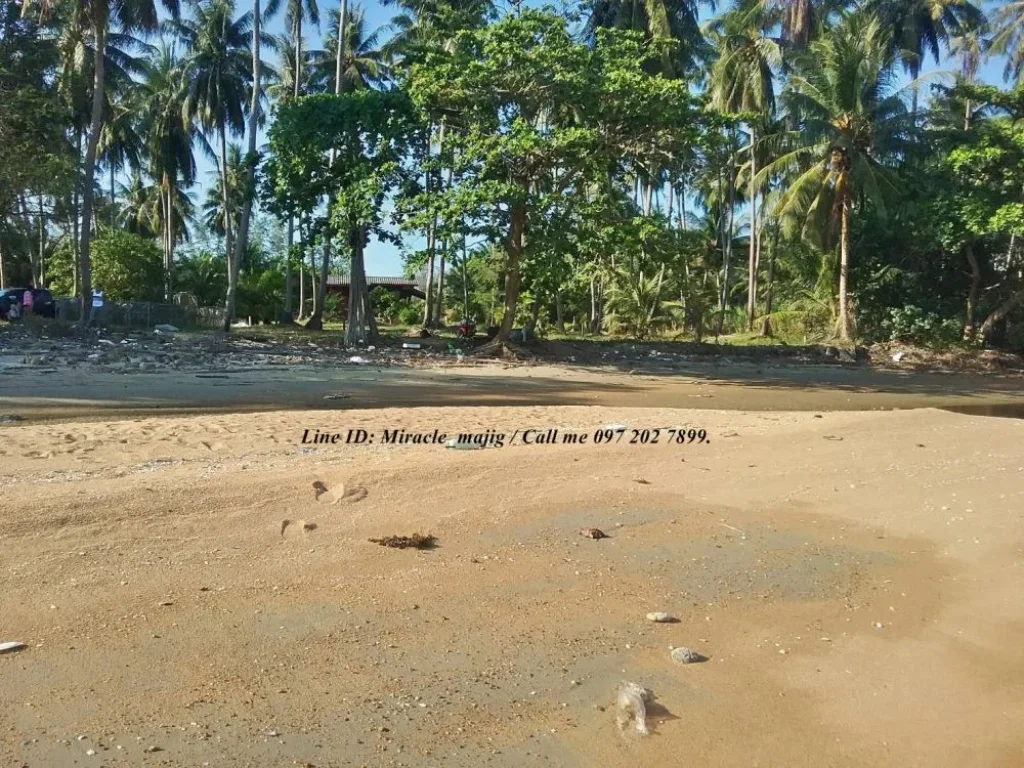 มีที่ดินติดชายทะเลหาดสวยชุมพร