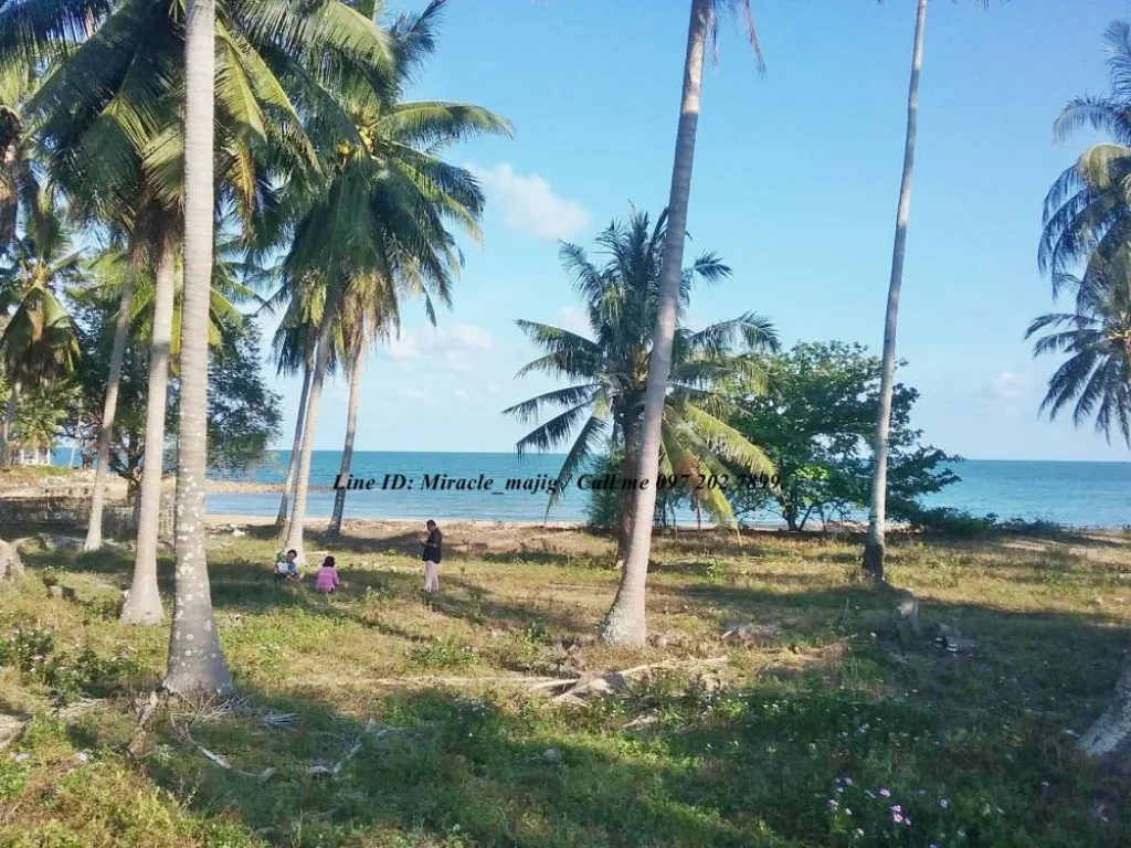 มีที่ดินติดชายทะเลหาดสวยชุมพร