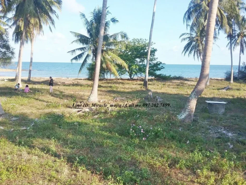 มีที่ดินติดชายทะเลหาดสวยชุมพร