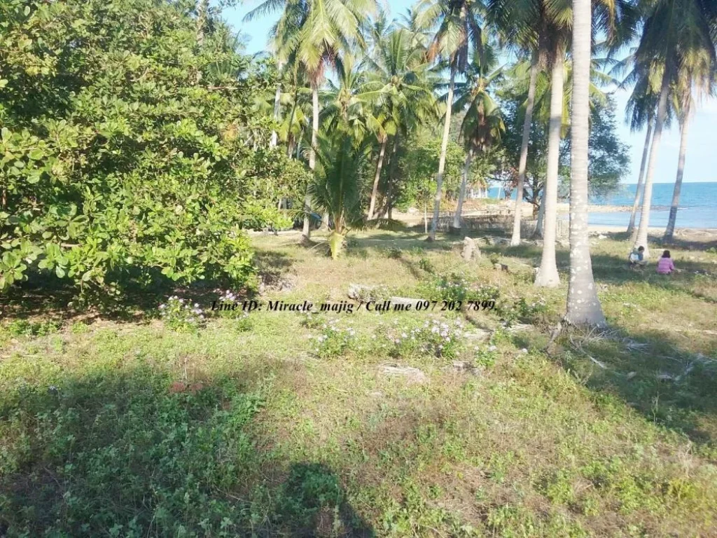 มีที่ดินติดชายทะเลหาดสวยชุมพร