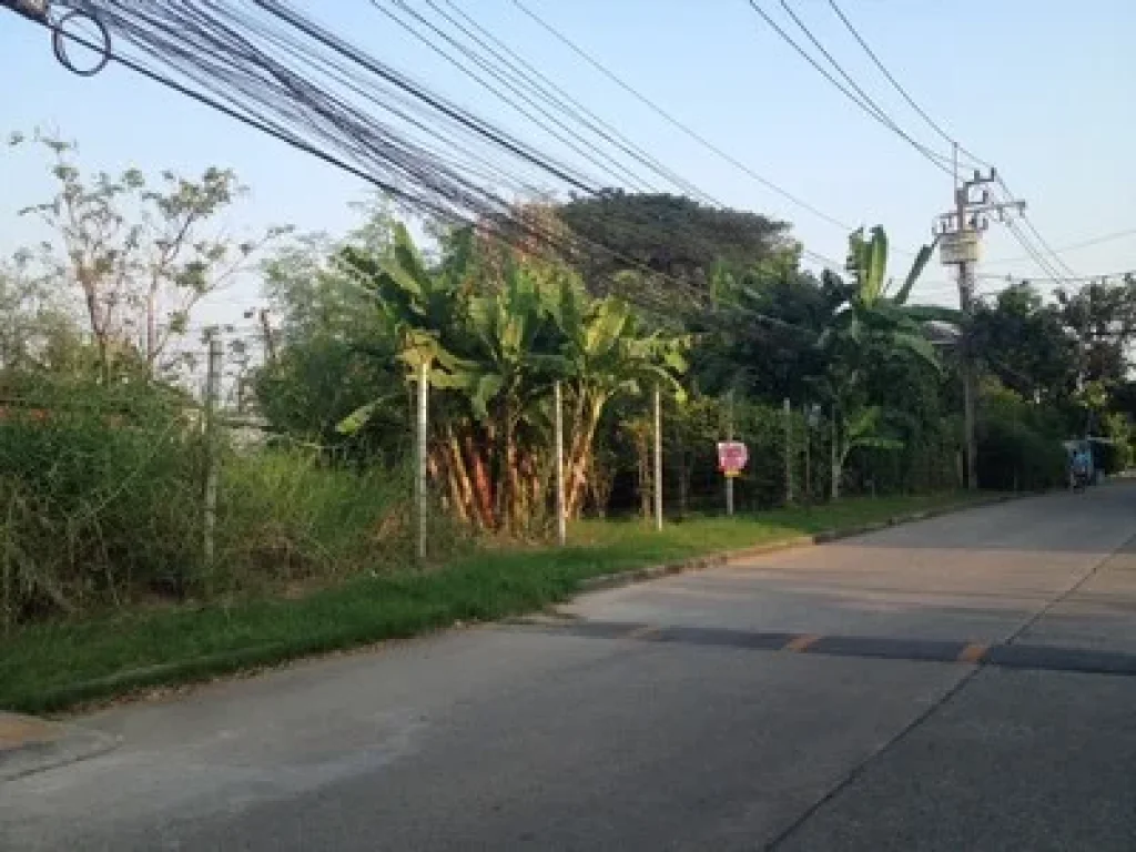 ขายถูกมาก ที่ดินหมู่บ้านอิมพีเรียล เฉลิมพระเกียรติ67 พื้นที่ 104 ตรว มีืทางออกหลายทาง ใกล้รร ราคา 469 ล้านบาท